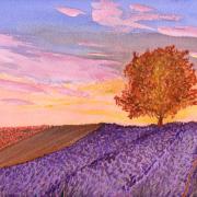 14. Provence