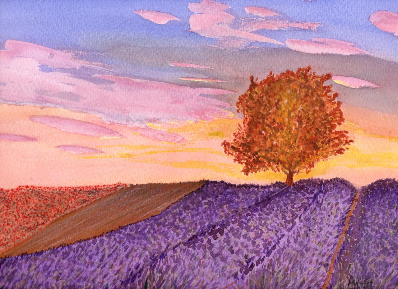 14. Provence