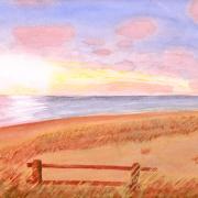 25. Bord de mer
