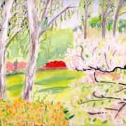 29. Magnolias