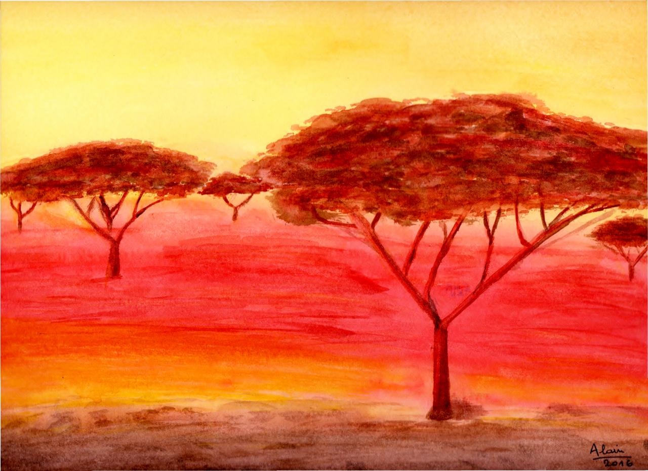 31. Savane