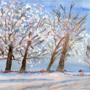 38. Fleurs de glace