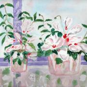 42. Cyclamens